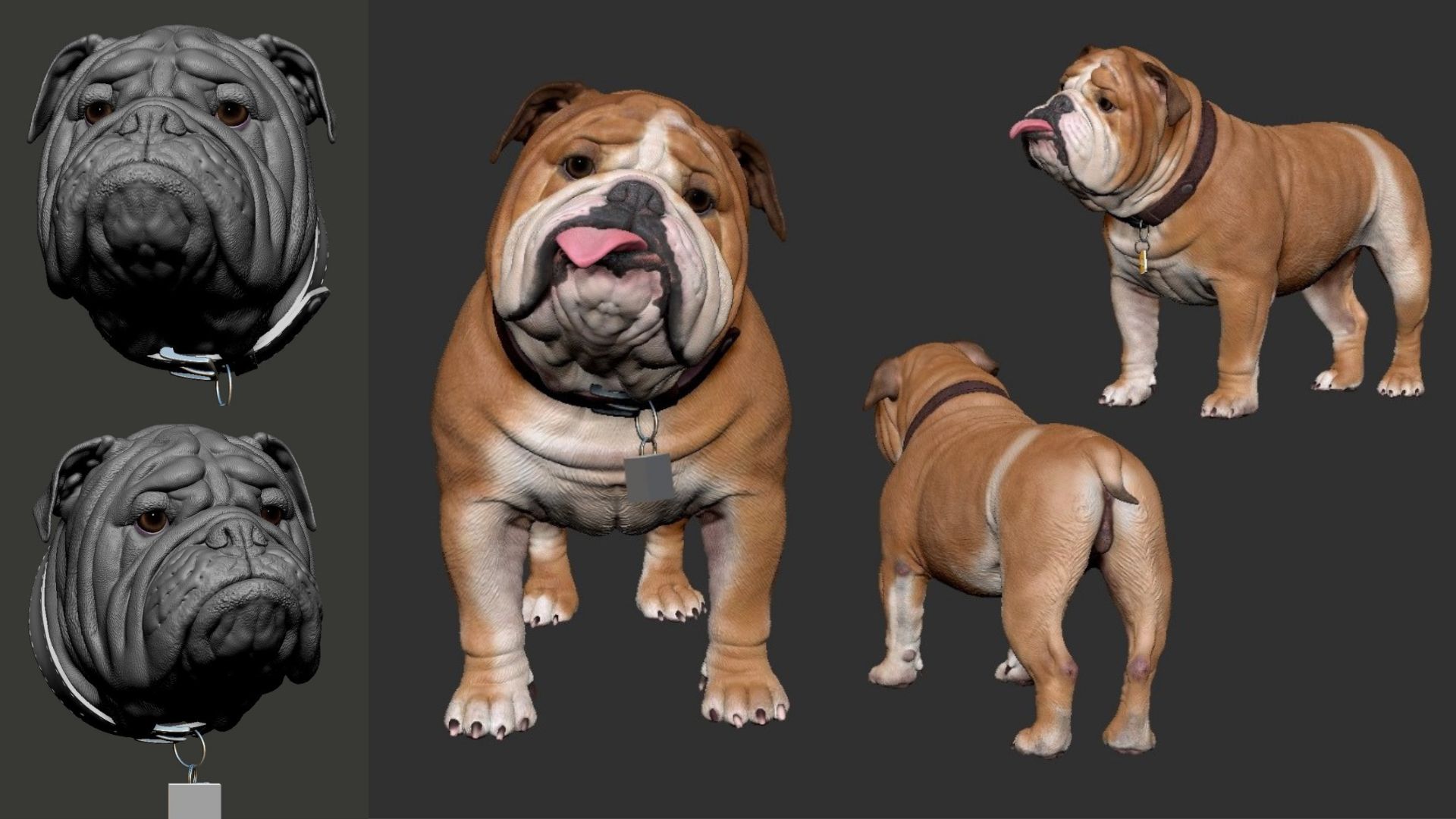 Bulldog — Sculpt & Textured Turnaround