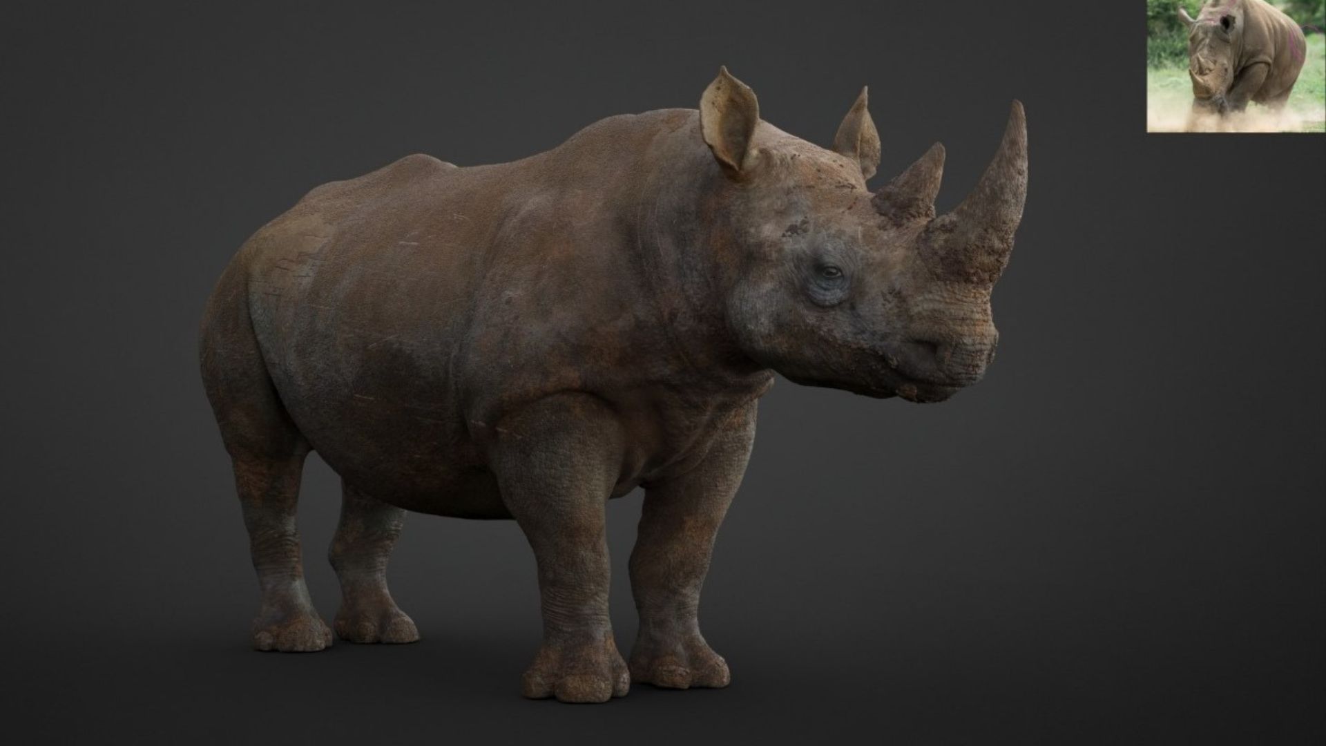Rhino — Textured Render