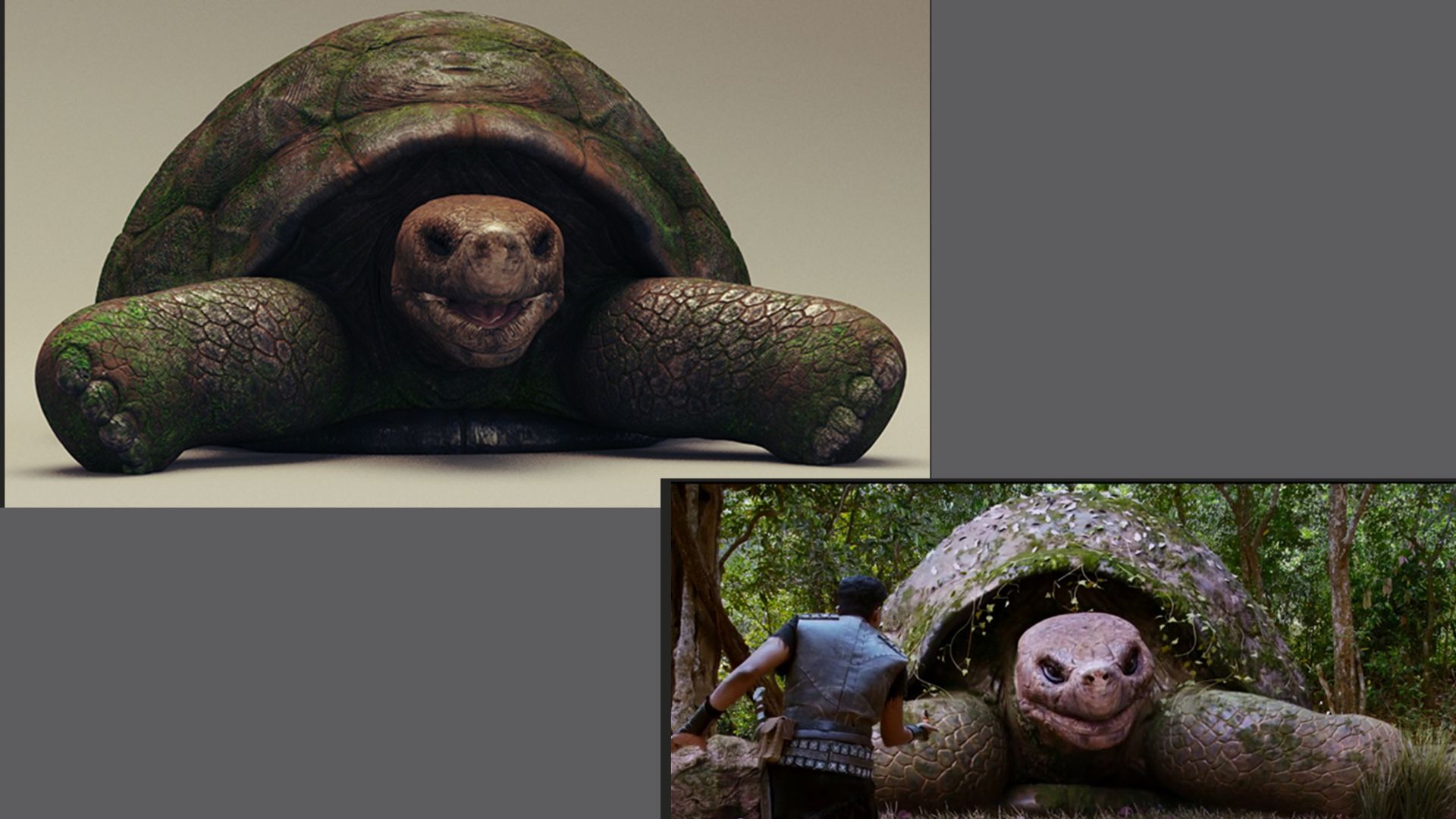 Giant Tortoise — In-Shot Render